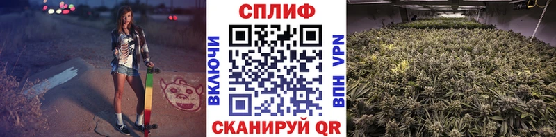 МАРИХУАНА ГИДРОПОН Нелидово